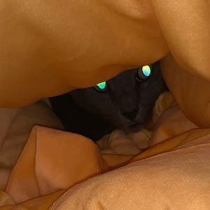 Meet your Posher, Tasha